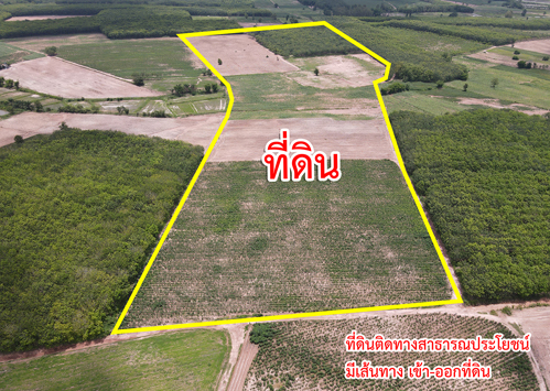 ขายที่ดิน ตำบลตาลเลียน อำเภอกุดจับ จังหวัดอุดรธานี รูปที่ 2