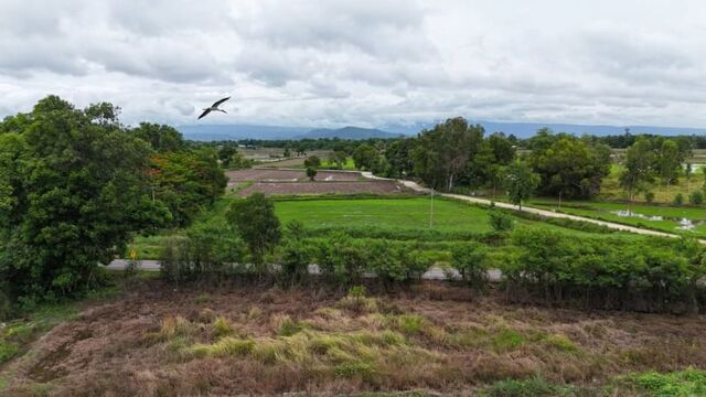 ขายที่ดินราคาประเมิน ต.เกาะหวาย อ.ปากพลี จ.นครนายก หน้ากว้าง ติดคลองชลประทาน เลียบถนนลาดยาง 170 เมตร รูปที่ 1