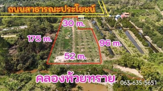 ขายสวนทุเรียนติดลำธาร วิวเขา ใกล้ ม.พระจอมเกล้าพระนครเหนือเขตปราจีน เงียบสงบแต่ใกล้แหล่งชุมชน การเดินทางสะดวกสบาย รูปที่ 1