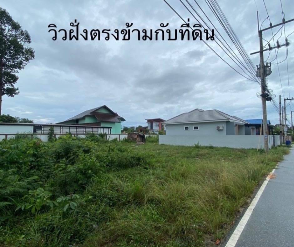 ที่ดินสวยบรรยากาศดี 2-1-42 ตรว. ต.สระแก้ว อ.บ้านฉาง จ.ระยอง มีเพื่อนบ้าน รูปที่ 6