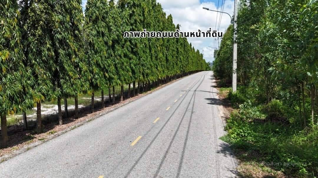 ขายที่ดินสวย ทำเลงาม เหมาะทำโรงงานพิกัด เนินกะปรอก-บ้านฉาง รูปที่ 7