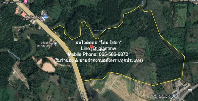 ขายที่ดินเปล่าสวนปาล์ม อ.ท้ายเหมือง จ.พังงา 36-2-23.4 ไร่ (ติดถนนเพชรเกษม), 2.5ล้านบาท/ไร่ รูปที่ 1