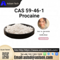 Procaine CAS 59-46-1