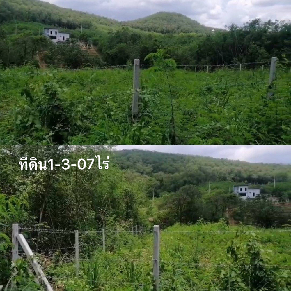 ขายที่ดินปากช่องติดวิหารเซียนและภูตะวัน 2 แปลง 3-1-57ไร่และ1-3-07ไร่ รวม 4ไร่ 64ตรว. ราคา6,500/วา (ถ้าซืัอภายในกย.67 ขายในราคาประเมินกรมที่ดิน 5,500) วิวติดภูเขาโครงการจัดสรร รูปที่ 3