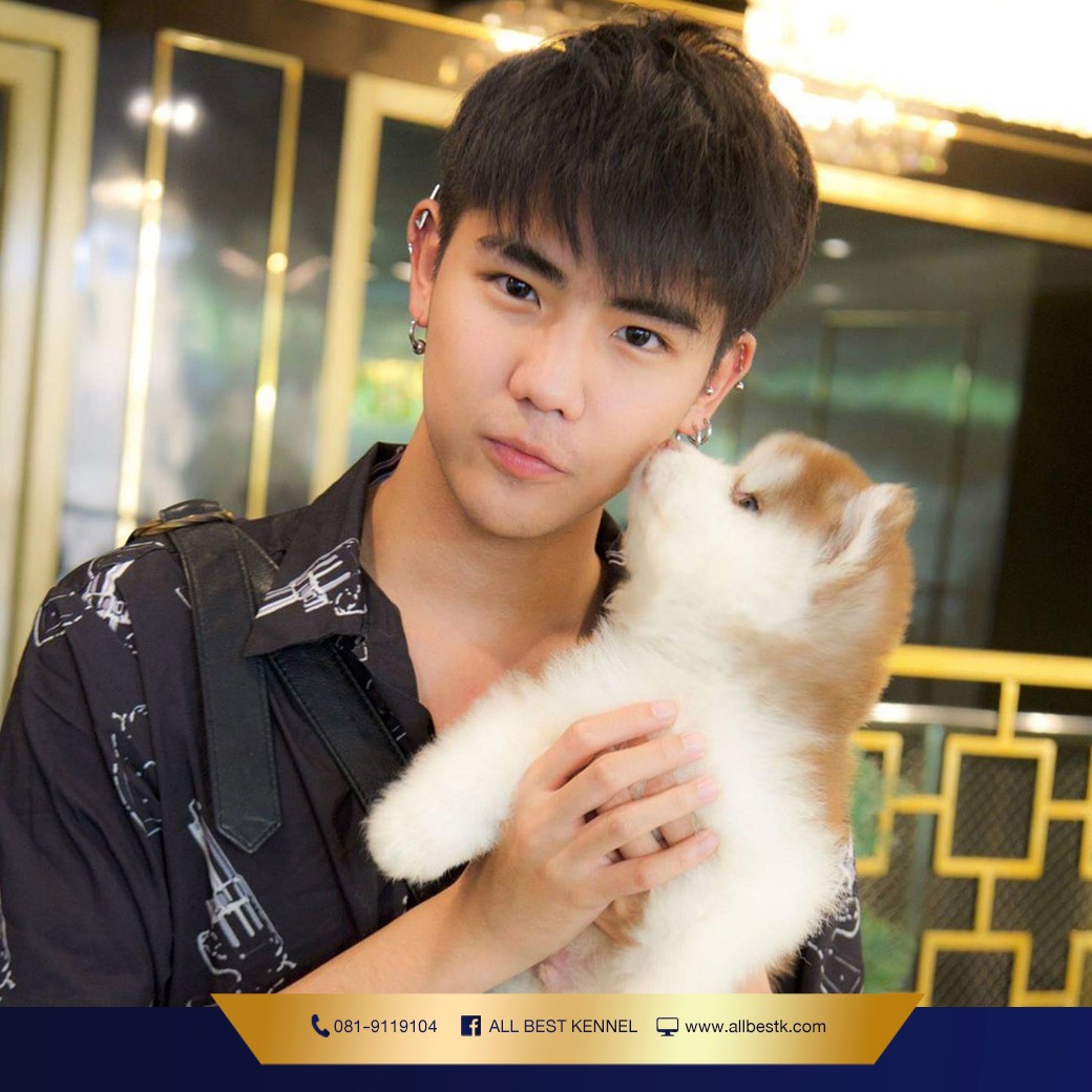 อยากได้ไซบีเรียนเกรดไฮเอน มีหลายคอก ต้องมาที่นี่ รูปที่ 3