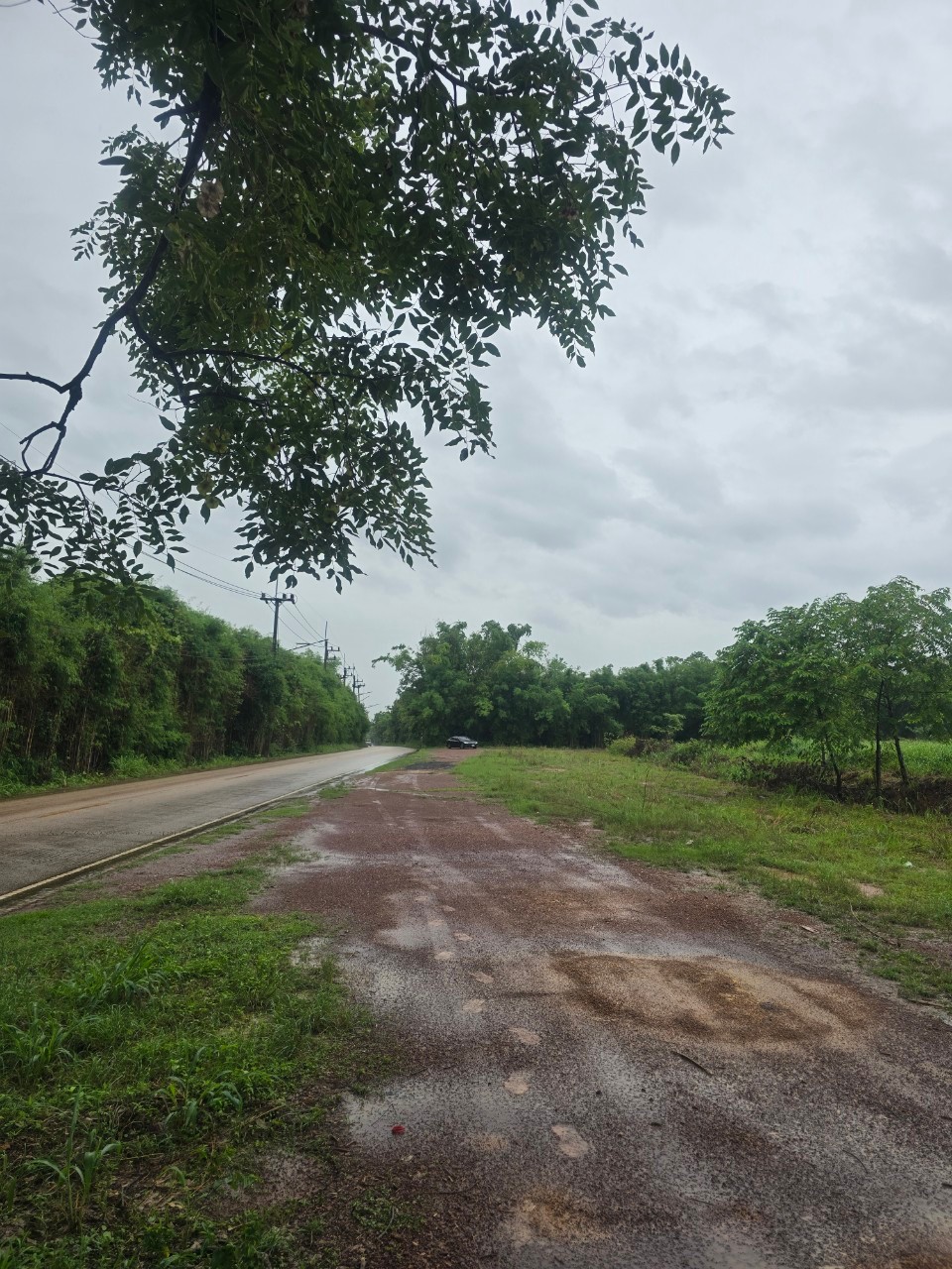 ที่ดินทำเลดี เดินทางเข้า ออก สะดวกมาก มีไฟฟ้าพร้อม ไกล้สาธารณูปโภค ขนาด 19 ไร่ 1 งาน 84 ตารางวา ต.โนนห้อม อ.เมือง จ.ปราจีน รูปที่ 1