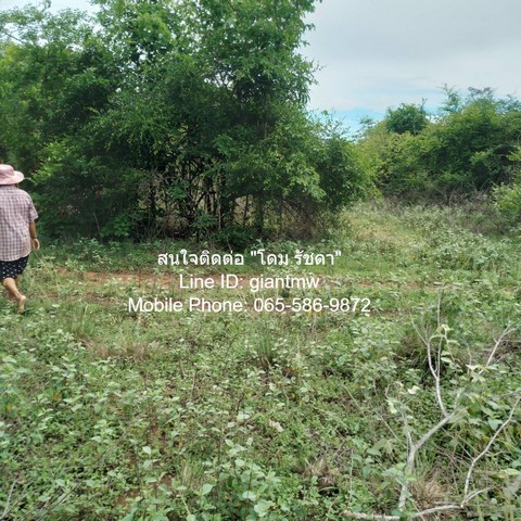 ขายที่ดินบ้านทุ่งเคล็ด แก่งกระจาน จ.เพชรบุรี 17-2-96.4 ไร่ (ห่างทางหลวง 3501 800 ม.), ราคา 7.7 ล้านบาท รูปที่ 1