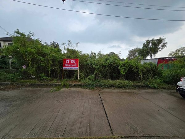 ขายที่ดินสมุทรปราการ บางพลี แปลงสวยถมแล้ว 185ตรว. สามารถปรับเพื่อปลูกสร้างบ้าน หรือ อาคาร โทร 063-7894632 รูปที่ 1