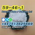 Procaine hcl procaine hydrochloride cas 51-05-8, 59-46-1