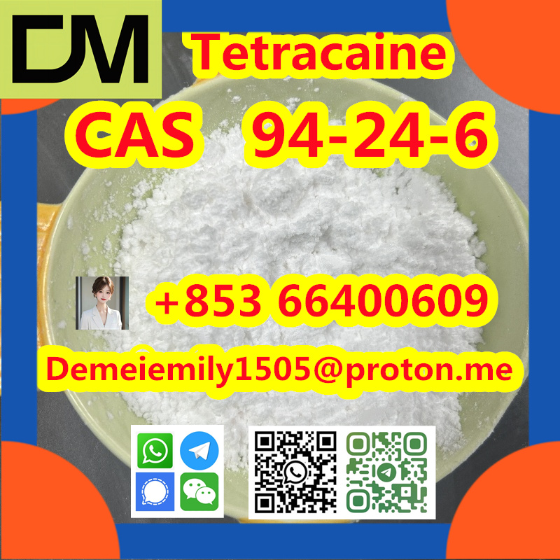CAS 94-24-6 Tetracaine China factory supply Low price High Purity Best Quality Hot Selling  Low price High Purity รูปที่ 4