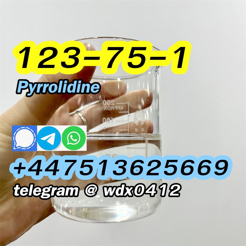 Buy China Factory Pyrrolidine, cas 123-75-1, Kazakhstan, Russia รูปที่ 4