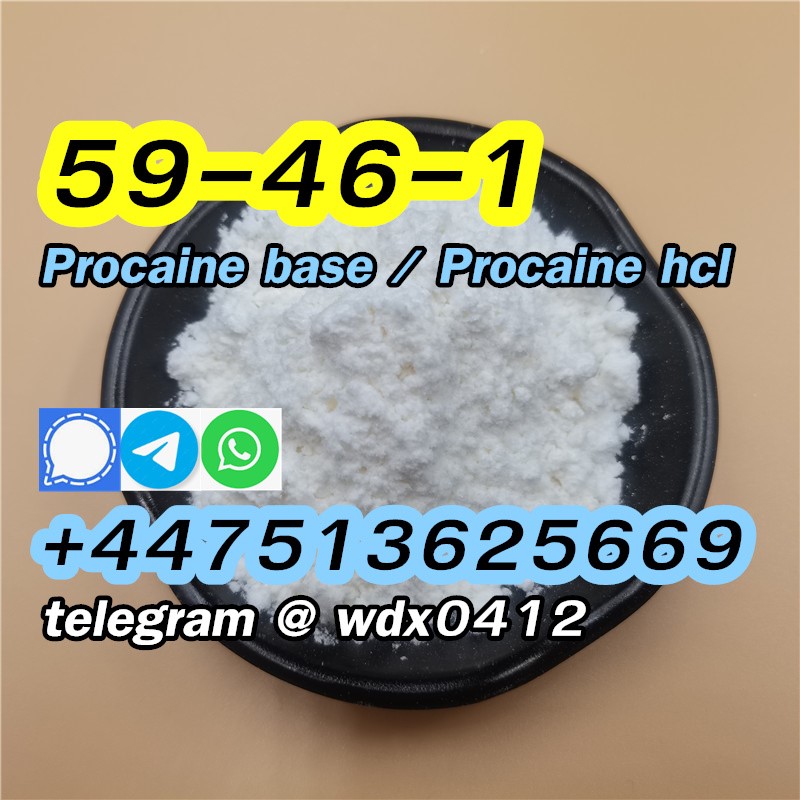 Supply Procaine powder procaine hcl cas 59-46-1 รูปที่ 1