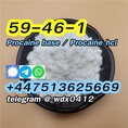 Supply Procaine powder procaine hcl cas 59-46-1