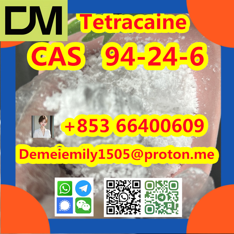 CAS 94-24-6 Tetracaine China factory supply Low price High Purity Best Quality Hot Selling  Low price High Purity รูปที่ 5
