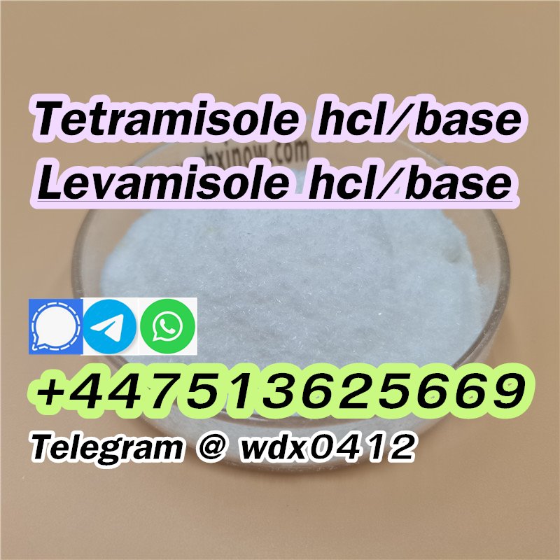 Buy powder Tetramisole hydrochloride cas 5086-74-8 รูปที่ 6