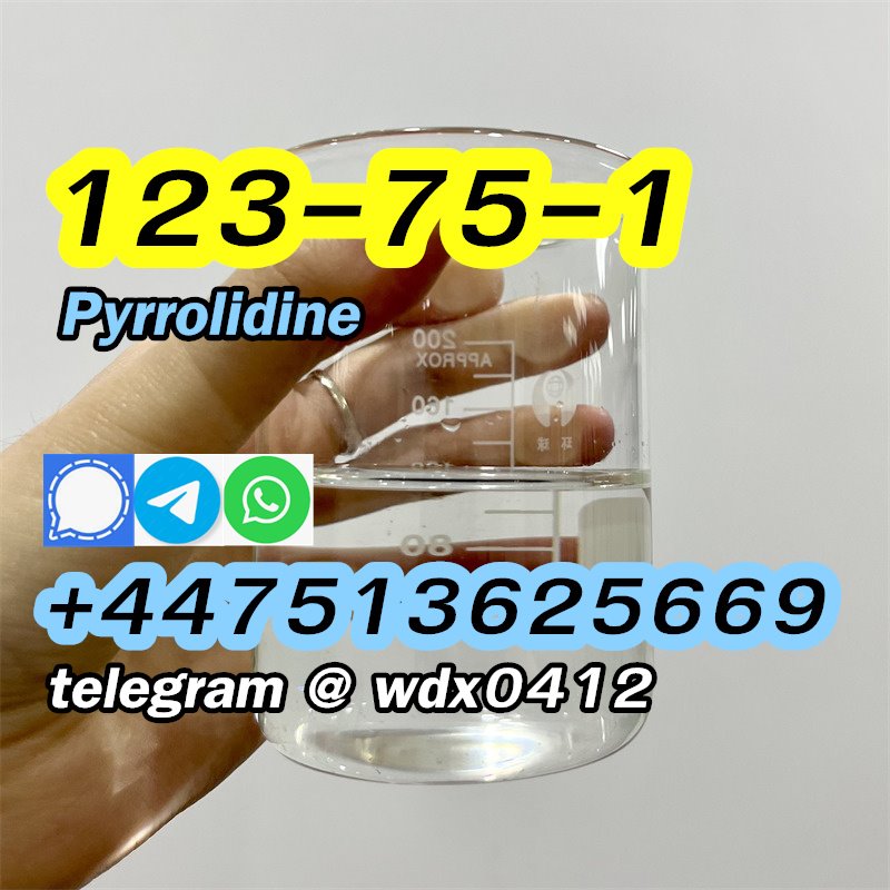 Buy China Factory Pyrrolidine, cas 123-75-1, Kazakhstan, Russia รูปที่ 5