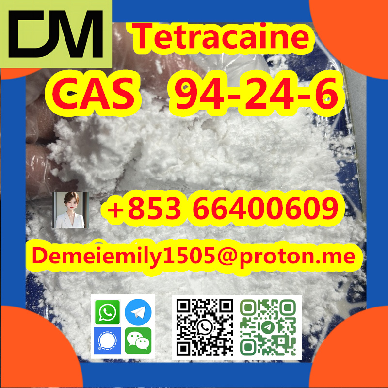 CAS 94-24-6 Tetracaine China factory supply Low price High Purity Best Quality Hot Selling  Low price High Purity รูปที่ 3