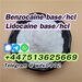 รูปย่อ buy lidocaine cas 137-58-6 lidocaine powder รูปที่5