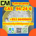 CAS 94-24-6 Tetracaine China factory supply Low price High Purity Best Quality Hot Selling  Low price High Purity