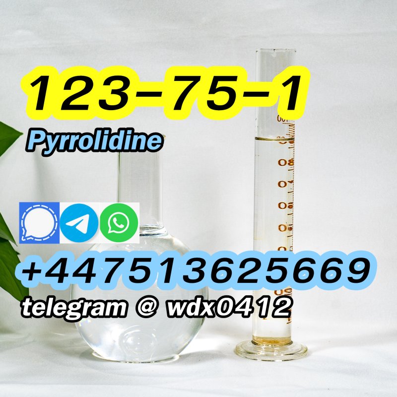 Buy China Factory Pyrrolidine, cas 123-75-1, Kazakhstan, Russia รูปที่ 7