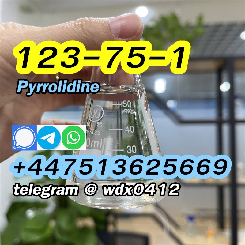 Buy China Factory Pyrrolidine, cas 123-75-1, Kazakhstan, Russia รูปที่ 1