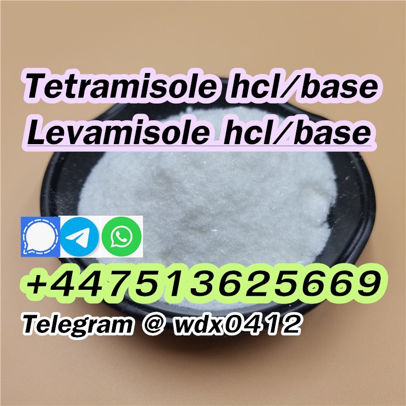Buy powder Tetramisole hydrochloride cas 5086-74-8 รูปที่ 3
