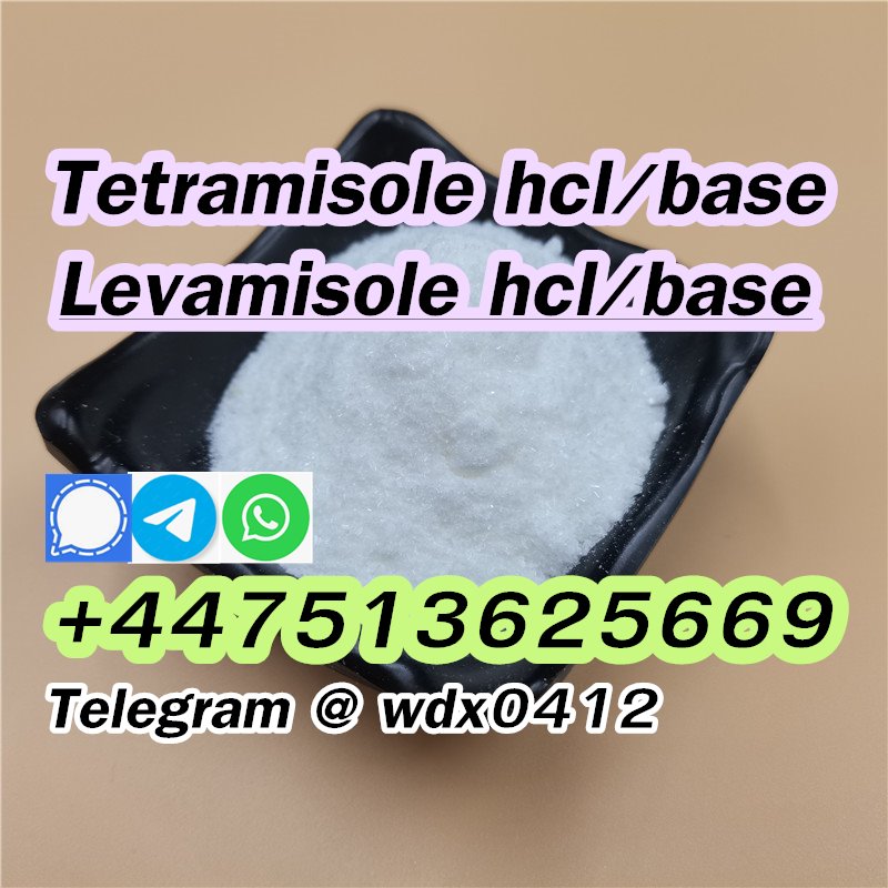Buy powder Tetramisole hydrochloride cas 5086-74-8 รูปที่ 7
