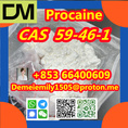 CAS 59-46-1 Procaine China factory supply lower price high purity high quality 