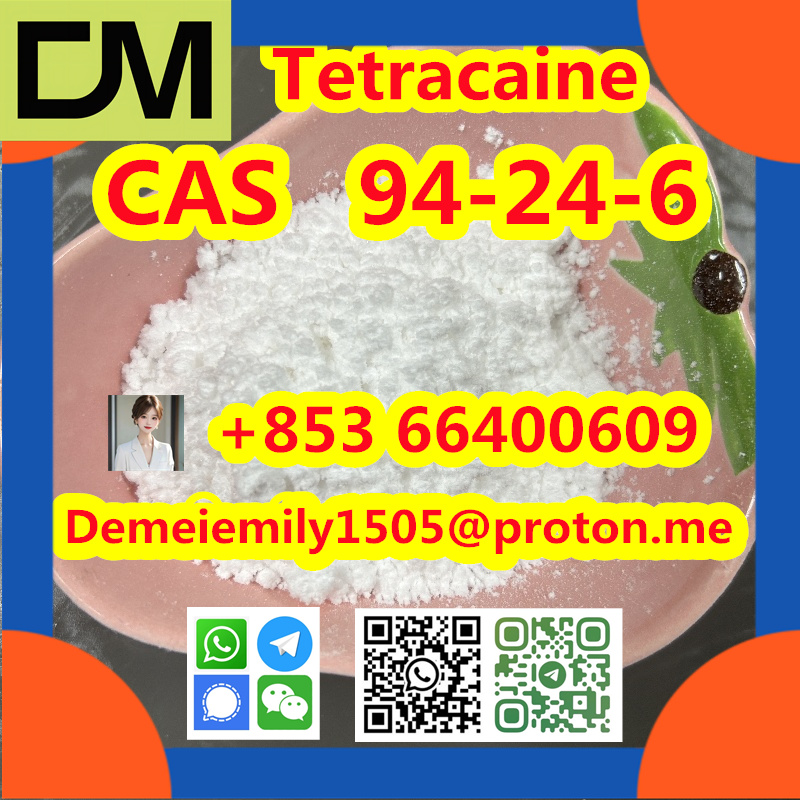 CAS 94-24-6 Tetracaine China factory supply Low price High Purity Best Quality Hot Selling  Low price High Purity รูปที่ 7