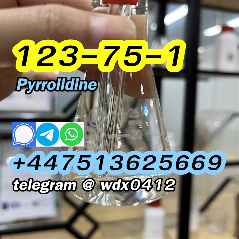Buy China Factory Pyrrolidine, cas 123-75-1, Kazakhstan, Russia รูปที่ 6