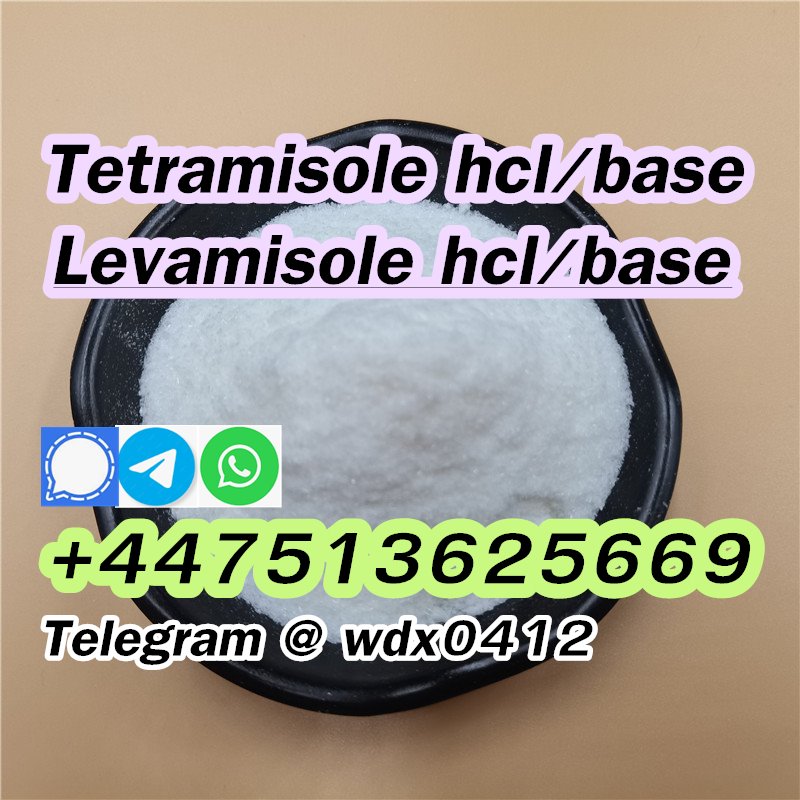 Buy powder Tetramisole hydrochloride cas 5086-74-8 รูปที่ 4