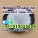 รูปย่อ buy lidocaine cas 137-58-6 lidocaine powder รูปที่4