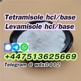 Buy powder Tetramisole hydrochloride cas 5086-74-8