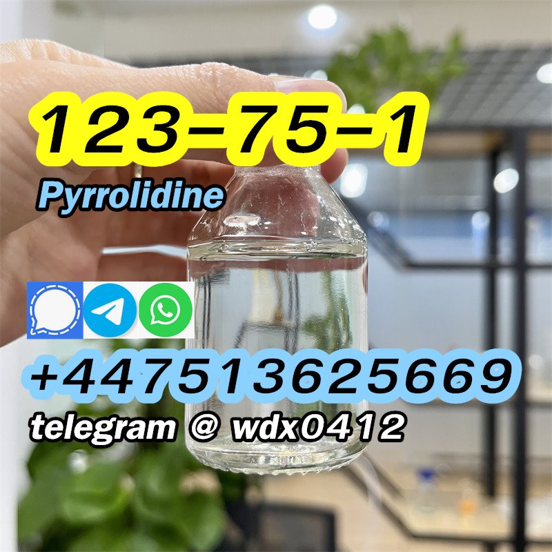 Buy China Factory Pyrrolidine, cas 123-75-1, Kazakhstan, Russia รูปที่ 3
