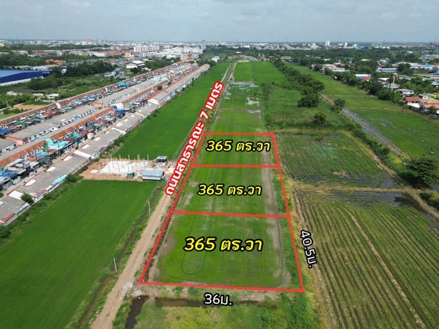 ขายที่ดินคลองสอง ปทุมธานี ใกล้ตลาดไท ติดกับถนน เนื้อที่ 365 ตรว. รูปที่ 1