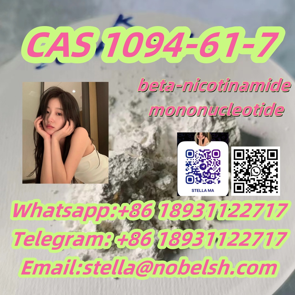 CAS.1094-61-7         beta-nicotinamide mononucleotide รูปที่ 1