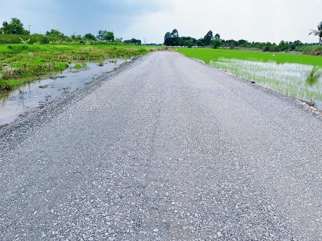 ขายที่ดินคลองสิบเอ็ด ขยายเขตน้ำและไฟฟ้าให้ ติดกับถนน ขนาด 100 ตรว. รูปที่ 1