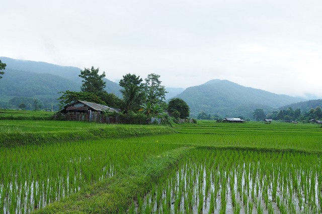 ที่ดินแปลงสวย...วิวดอยภูคา...ใกล้แหล่งท่องเที่ยวชื่อดัง ...อ.ปัว รูปที่ 1