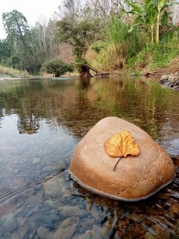 ขายที่ดินริมแม่น้ำน่าน สวนผลไม้ เงาะ อะโวคาโด้ บรรยากาศริมแม่น้ำน่าน  รูปที่ 1