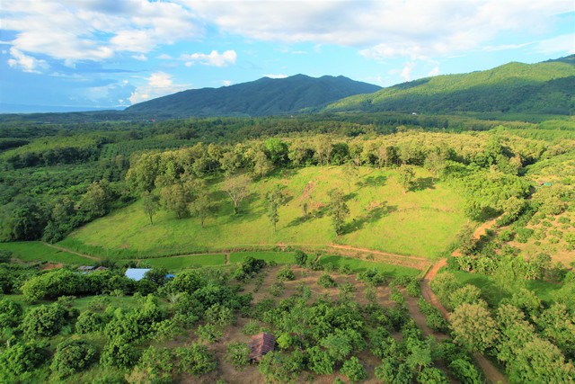 ขายที่ดินแปลงสวยบนดอยสูงสวยงาม ให้บรรยากาศท่ามกลางวิวภูเขาล้อมรอบ ที่ดินติดถนนสาธารณะประโยชน์ ถนนคอนกรีตถึงที่ดิน  รูปที่ 1