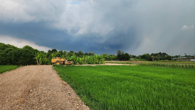 ขายที่ดินคลอง 8 หนองเสือ น้ำไฟฟ้าครบ ติดถนนสาธารณะ มีหลายแปลงให้เลือกเป็นเจ้าของ รูปที่ 1