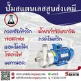 Centrifugal pump ปั๊มสูบส่งสารเคมี จากแบรนด์ Tapflo