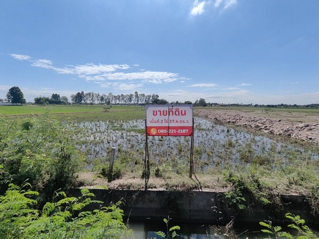 ขายด่วนมาก ที่ดิน อ.อู่ทอง ในัวอำเภอ  ทั้งหมด 9 แปลง ขายตามสภาพ ราคาถูกสุดในย่านนี้ รูปที่ 1