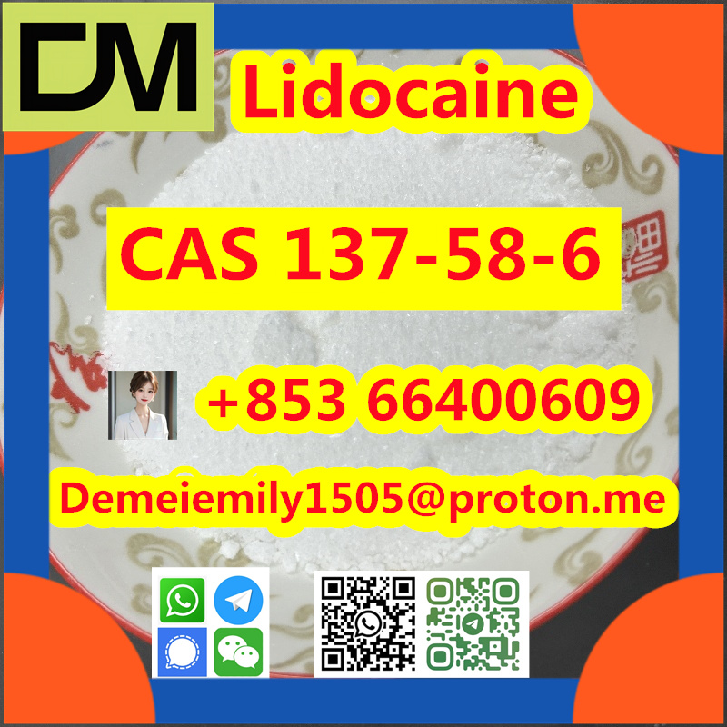 CAS 137-58-6 Lidocaine China factory sales low price high purity good quality hot selling safe delivery fast deliverty รูปที่ 6