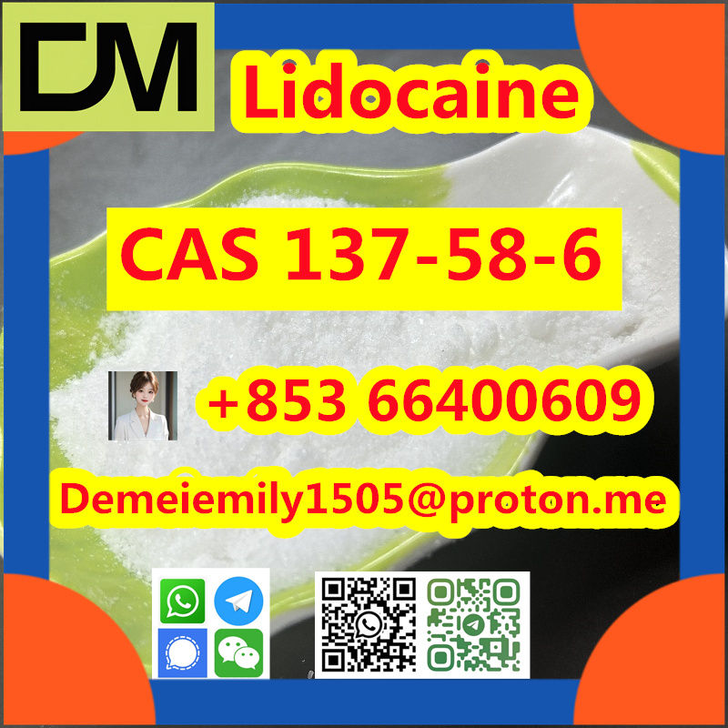 CAS 137-58-6 Lidocaine China factory sales low price high purity good quality hot selling safe delivery fast deliverty รูปที่ 1