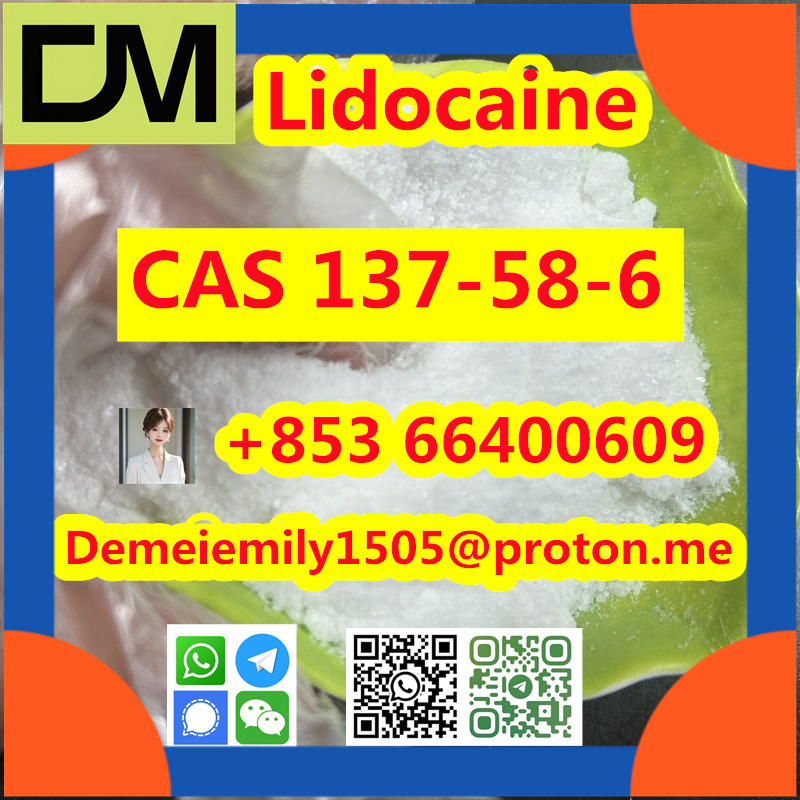 CAS 137-58-6 Lidocaine China factory sales low price high purity good quality hot selling safe delivery fast deliverty รูปที่ 3