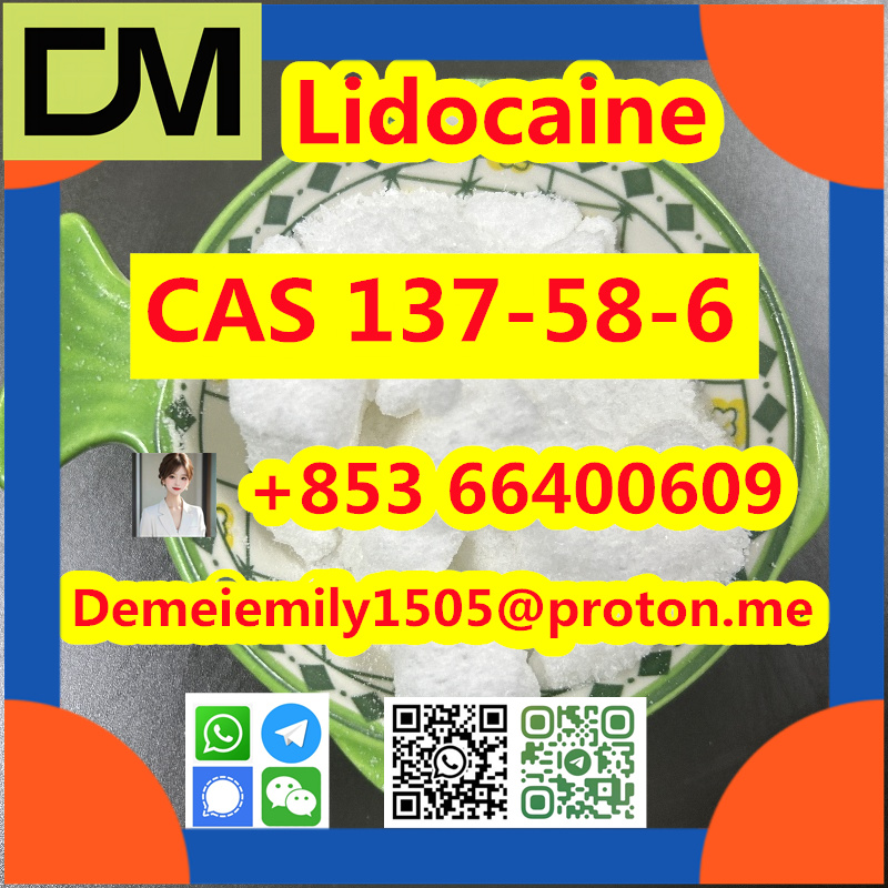 CAS 137-58-6 Lidocaine China factory sales low price high purity good quality hot selling safe delivery fast deliverty รูปที่ 5