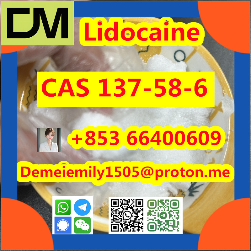 CAS 137-58-6 Lidocaine China factory sales low price high purity good quality hot selling safe delivery fast deliverty รูปที่ 7