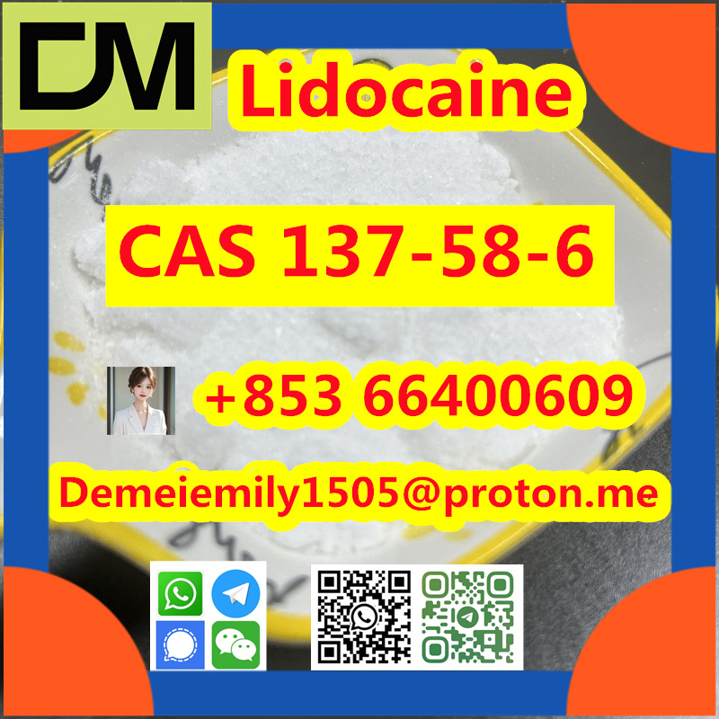 CAS 137-58-6 Lidocaine China factory sales low price high purity good quality hot selling safe delivery fast deliverty รูปที่ 4