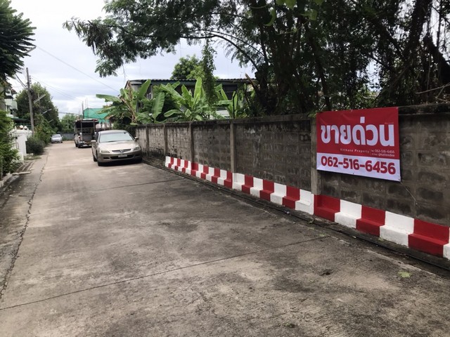 ขายที่ดินใจกลางอ่อนนุช 55-3 ขนาด 342-480 ตร.ว.การสร้างบ้านใหม่ โครงการธุรกิจ หรือการลงทุนที่ดิน รูปที่ 1